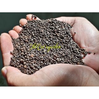 Sỏi suối nâu (túi 1kg)