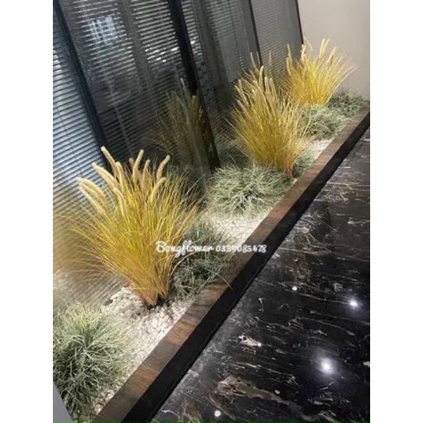 Cây giả - Cây cỏ lau giả cụm 5 bông dài 80cm decor siêu xinh
