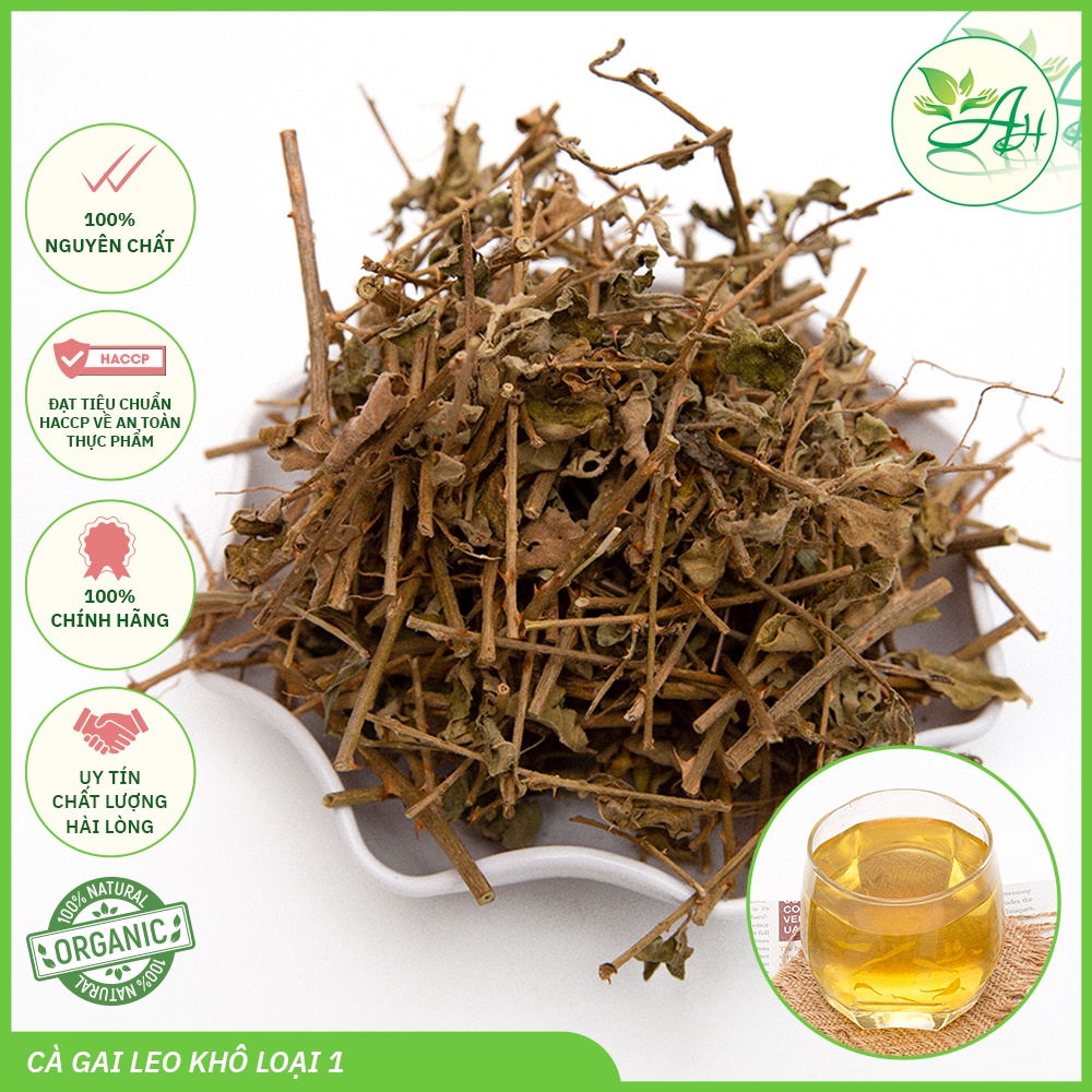 Cà gai leo 1KG bảo vệ lá gan của bạn hàng ngày hiệu quả