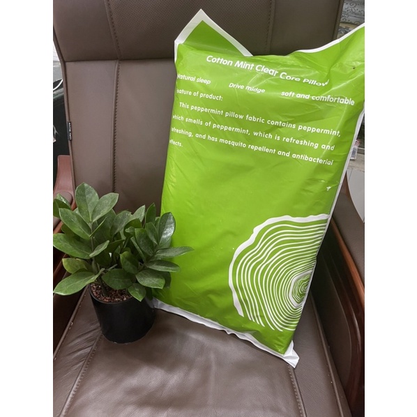 Gối bạc hà cao cấp size 50*70cm(1 cặp)