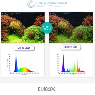 Đèn LED Jiyin