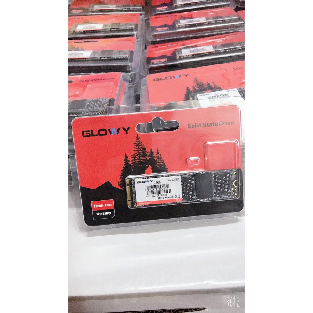 Ổ cứng SSD M2 Gloway 256GB (Sata3.0) – CHÍNH HÃNG – Bảo hành 3 năm !!! | BigBuy360 - bigbuy360.vn
