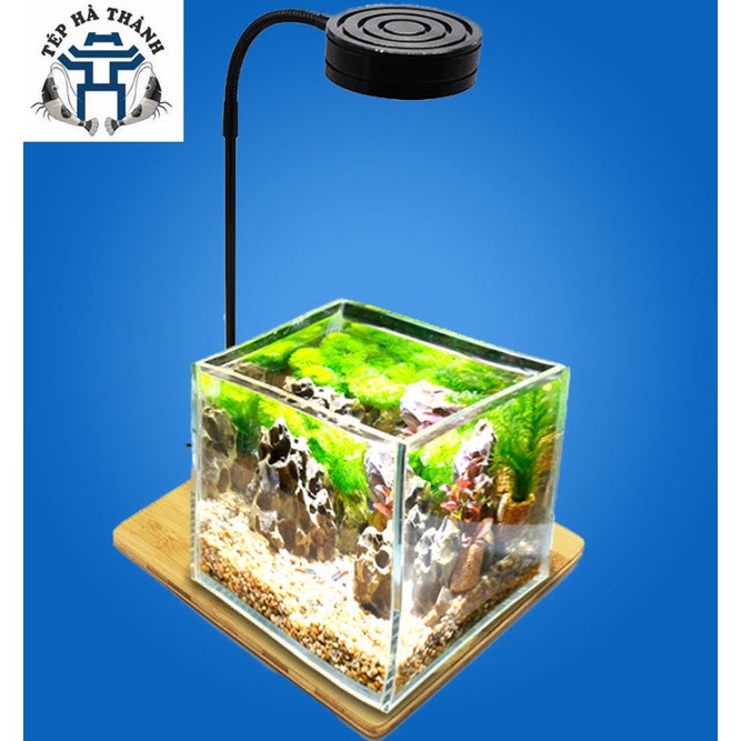 Đèn Led Đế Gỗ Cho Bể Cá Cảnh,Bể Thủy Sinh Và Tiểu Cảnh Nhỏ