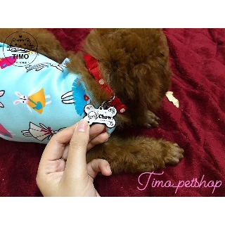 Vòng cổ Thú cưng 2 lớp - Thỏ