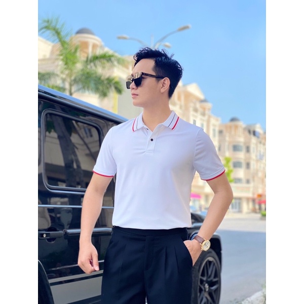 Áo Thun Cá Sấu Ngắn Tay Cổ Bẻ, Áo polo Nam Cao Cấp Co Giãn Thấm Hút Mồ Hôi Tốt
