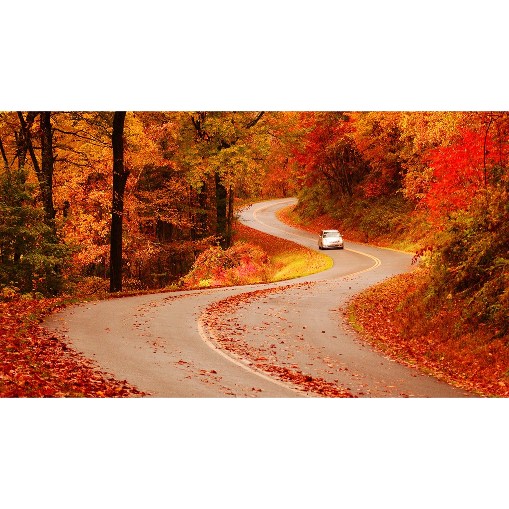 Nước hoa Replica Autumn Vibes