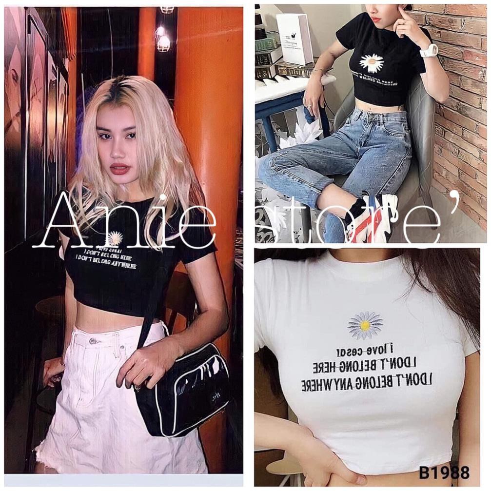 Áo Croptop Nữ In Hình Hoa Cúc Kèm Chữ 🦋FREESHIP🦋 Áo Phông Dáng Ngắn Cộc Tay 2 Màu | BigBuy360 - bigbuy360.vn