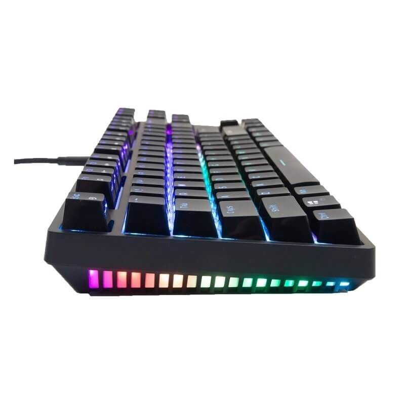 Bàn phím cơ Gaming Fuhlen D87S RGB TKL 87 Phím - Hàng chính hãng