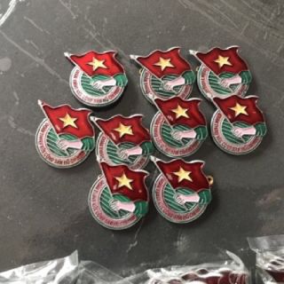 Huy Hiệu Đoàn Việt Nam