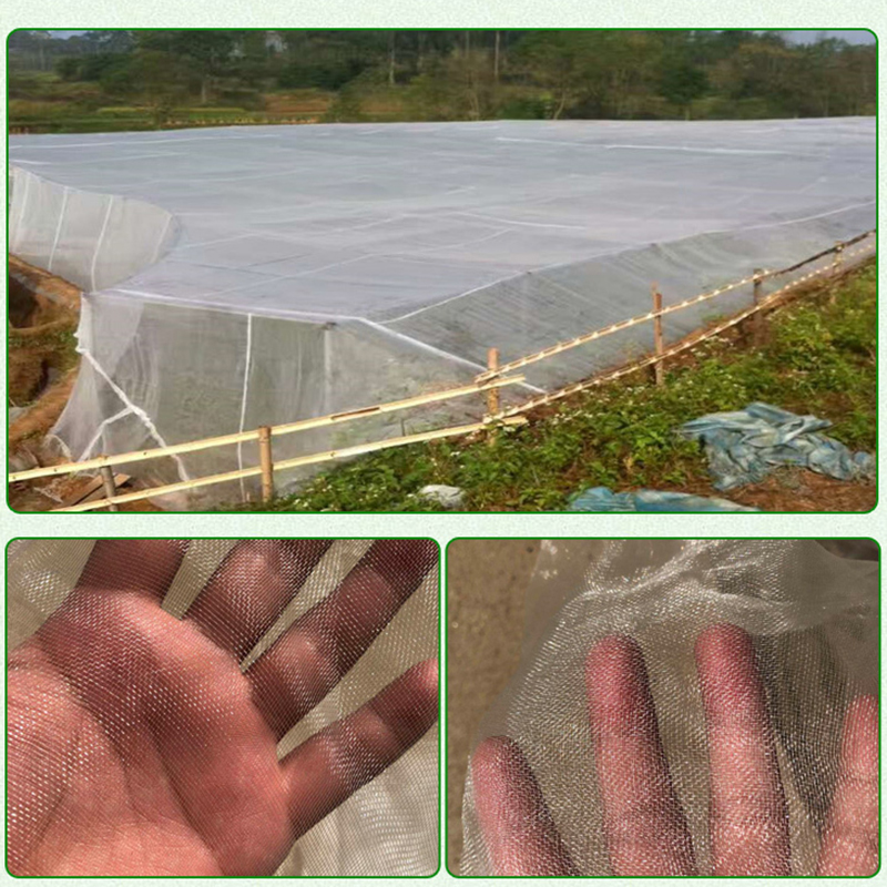 Lưới Bọc Bảo Vệ Cây Trồng Chống Chim Phá Hoại Tiện Dụng