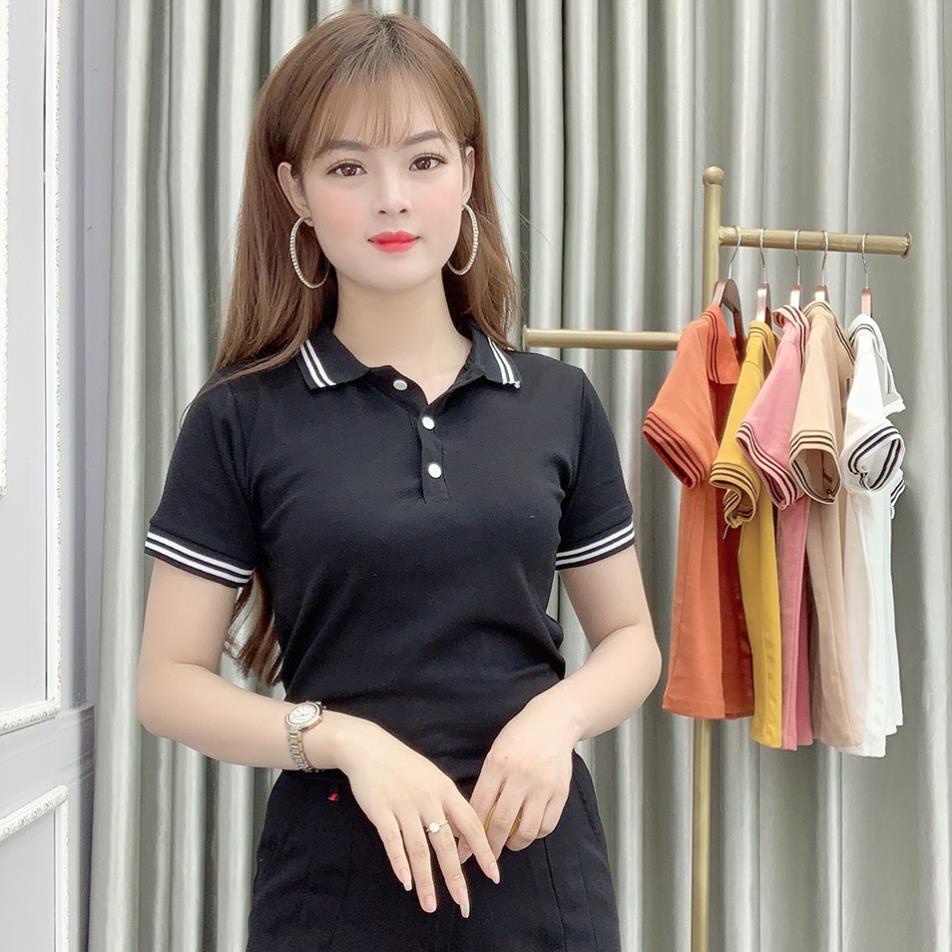 Áo Thun Polo Nữ Trơn Basic Tay Ngắn Cổ Bẻ Cotton Trẻ trung | BigBuy360 - bigbuy360.vn