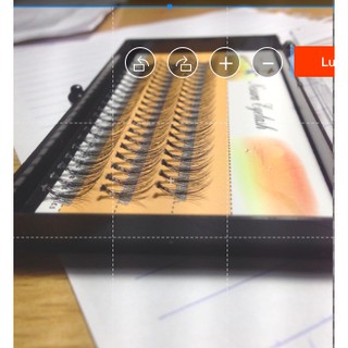 Mi chùm 10D ( mi chùm vàng )