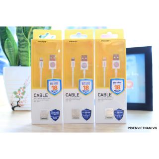 Cáp Pisen Lightning 1000mm