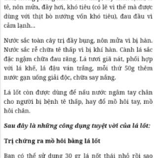 25 Cành lá nốt giống