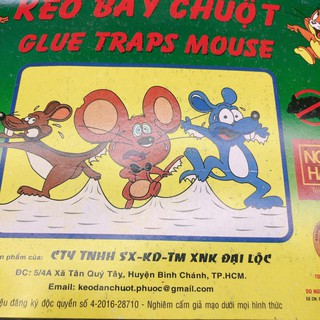 tấm dán keo dán chuột đại lộc bẩy được 3 - 4 lần