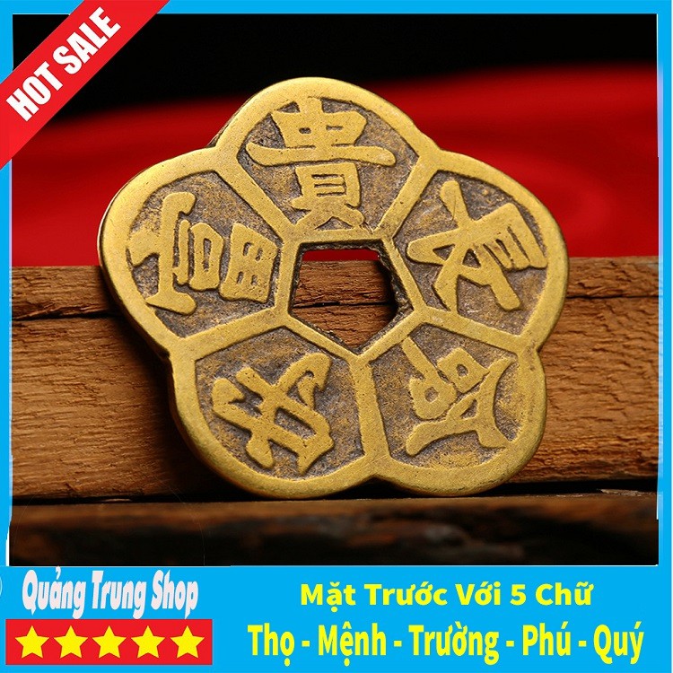 Đồng Tiền Hoa Mai ⭐FREESHIP⭐ Kim Tiền Tài Lộc | BigBuy360 - bigbuy360.vn