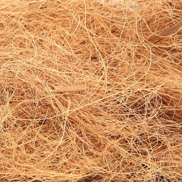 Giá thể sơ dừa rối trồng phong Lan đã xử lý_Giá thể chỉ dừa làm tổ chim 5dm3