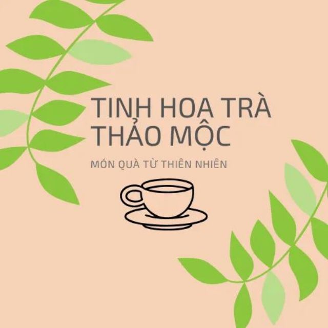 Trà Hoa Thảo Mộc TH