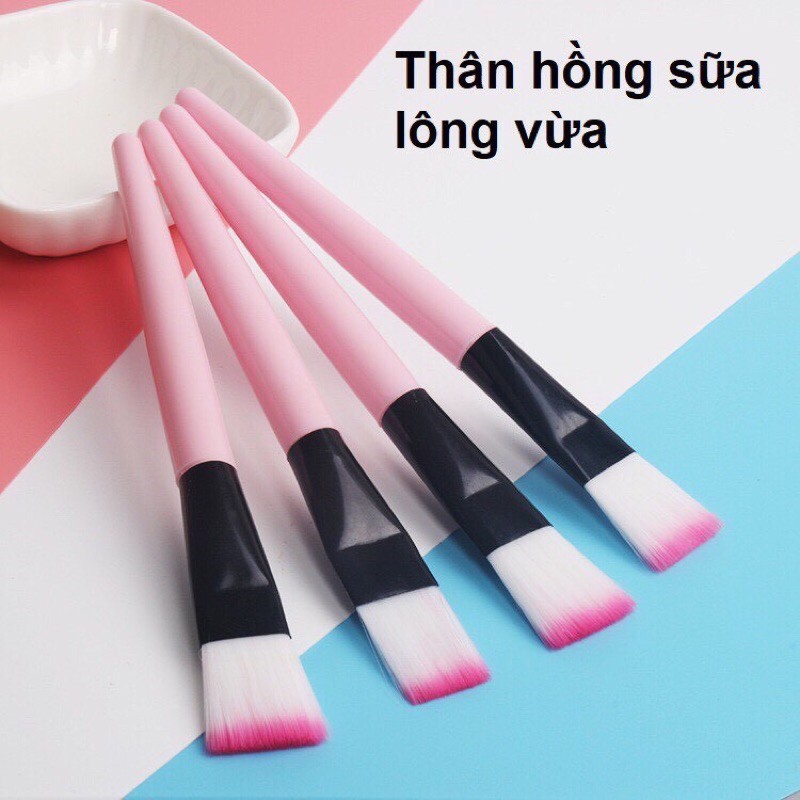 Cây Cọ Đắp Mặt Nạ, Cọ Đắp Bột Mask