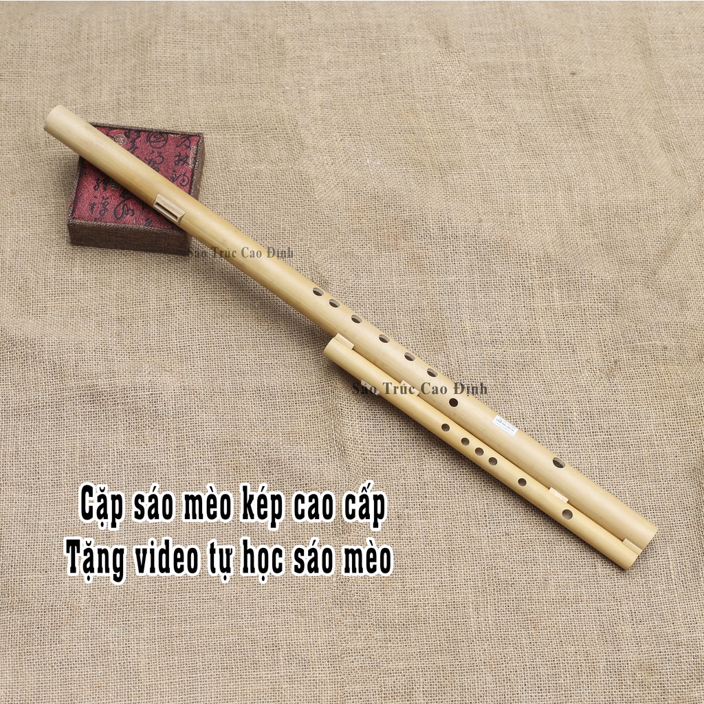 Sáo Mèo kép cao cấp