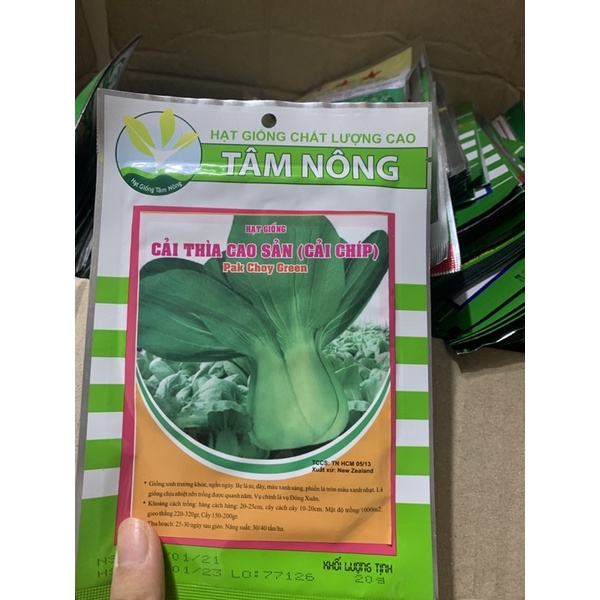Hạt giống Cải Chít 20gr ~4000 Hạt