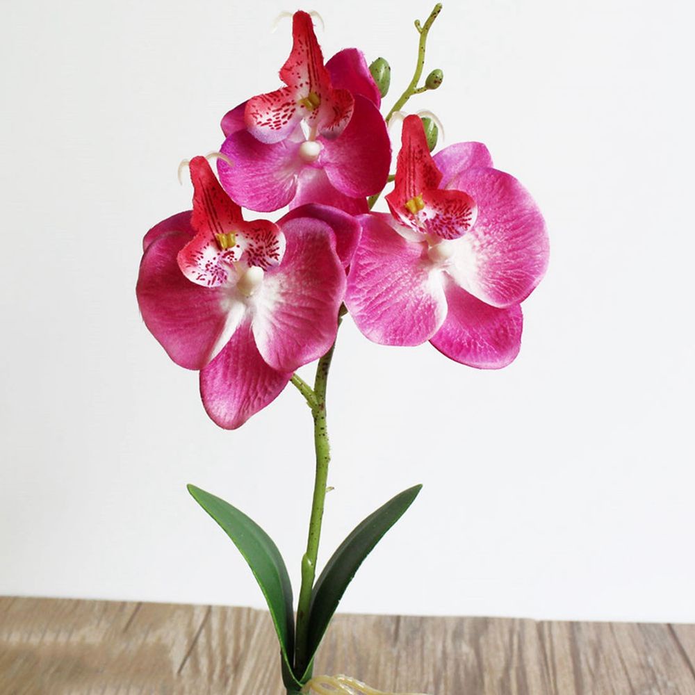 Nhánh hoa lan giả bằng lụa 29cm nhiều màu trang trí tiệc cưới