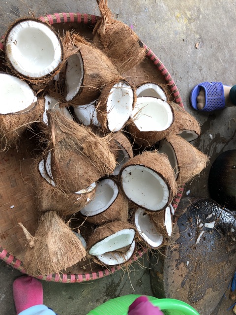 Dầu dừa ép nguyên chất nhà làm | BigBuy360 - bigbuy360.vn