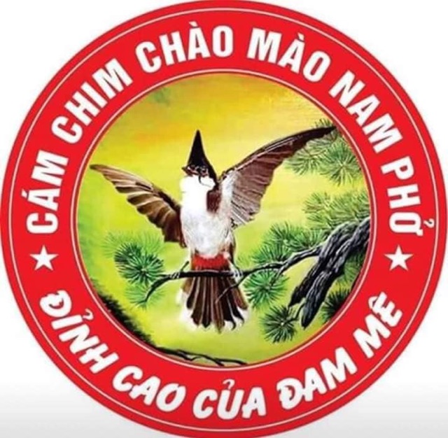 Cám chim giành chao chào mào thương hiệu NAM PHỞ số 1, số 2