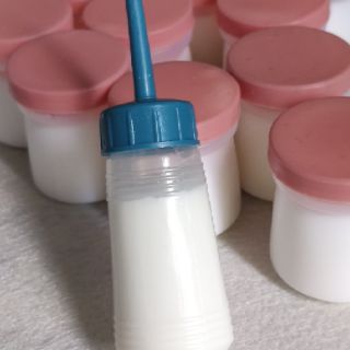 Keo sữa/ Mill glue (white glue)
