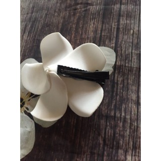 Hoa đại cài tóc siêu xinh