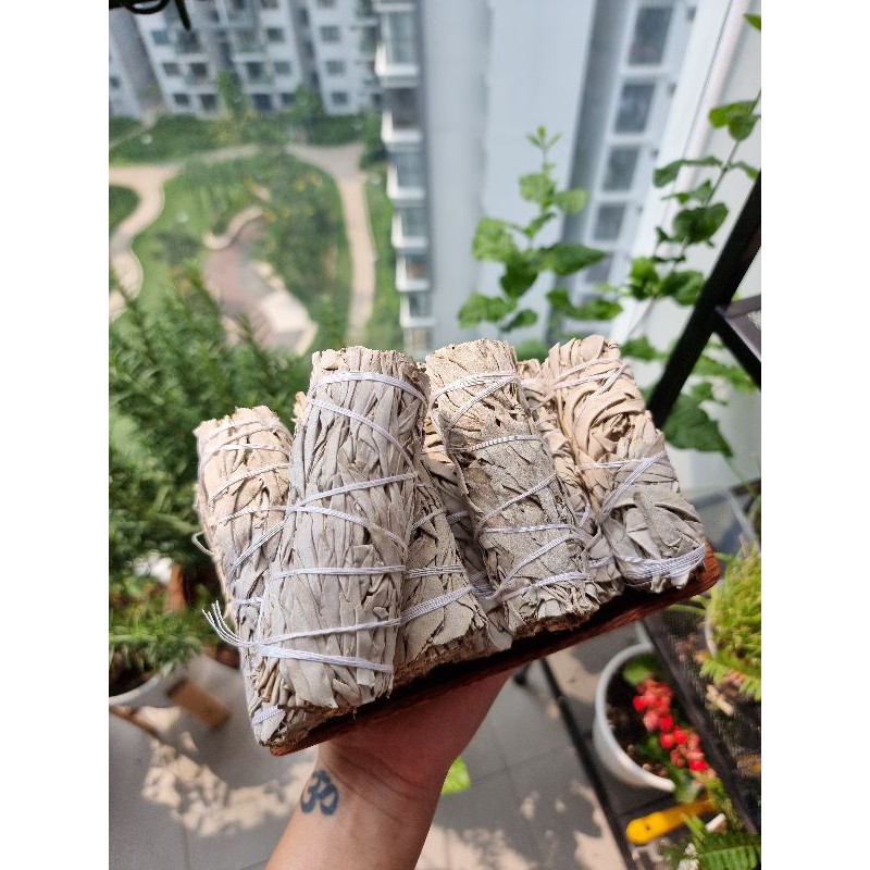 Xô thơm ( white sage) thanh tẩy không gian, bài tarot