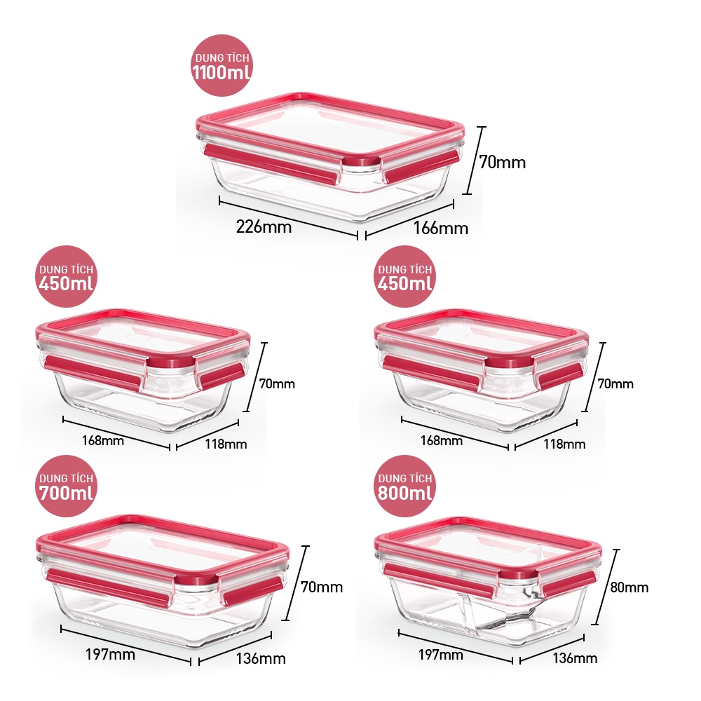 [LIFEMC11BPC -8% đơn 350K] Bộ 5 hộp thủy tinh vuông Tefal Masterseal Glass 450ml x 2, 700ml, 800ml x 2, 1.1L