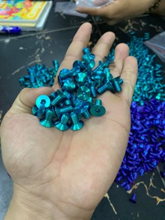 Ốc lòng đĩa Gr5