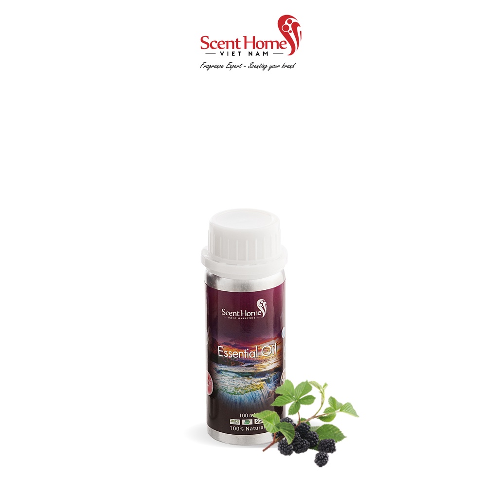 [Chính hãng] Tinh dầu Blackberries - ScentHomes (Blackberries - 50ml,100ml,250ml)