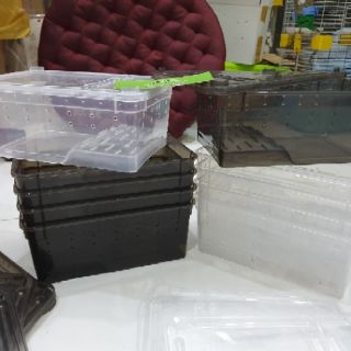 Tank mini có gờ leo