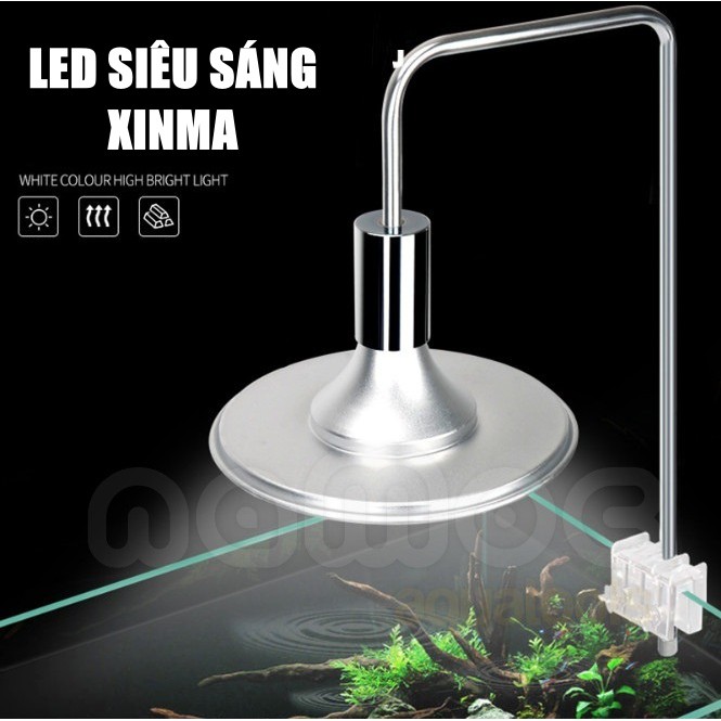 Đèn LED Dĩa - LED Kẹp Xinma  - Ánh Sáng Trắng và RGB | Đèn Cho Hồ Thuỷ Sinh, Bán Cạn