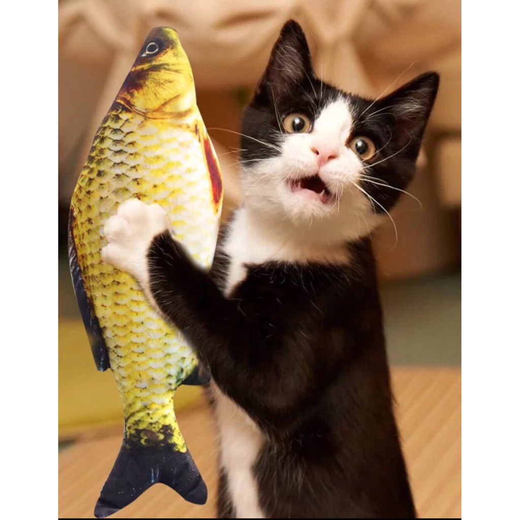Cá Catnip Cho Mèo