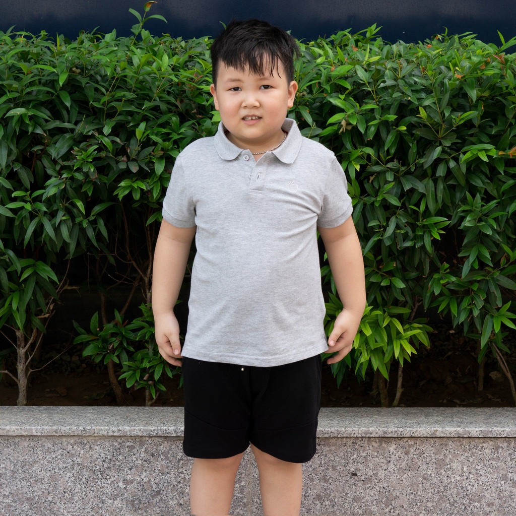 Áo Polo Bé Trai Nhiều Màu Size Lớn