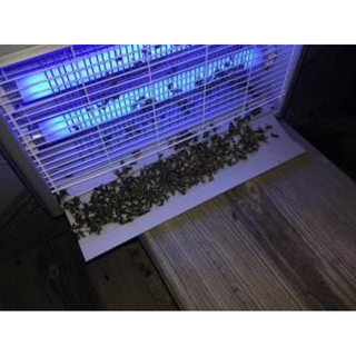 ĐÈN BẮT MUỖI LED CAO CẤP