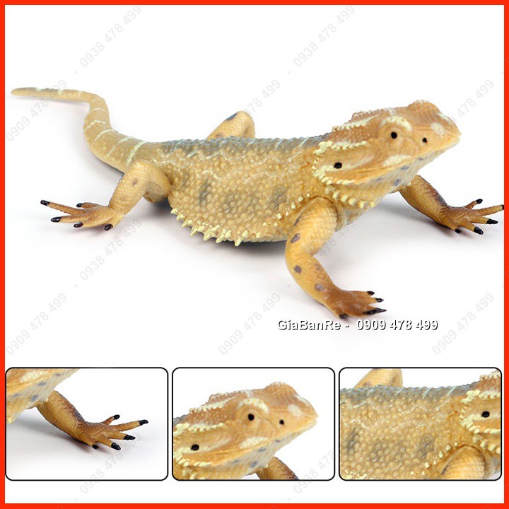 Mô Hình Bò Sát Thằn Lằn Chameleon - Lizzard - Động Vật Size Nhỏ - 7666.6