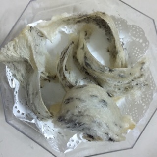 Tổ yến nhà nuôi