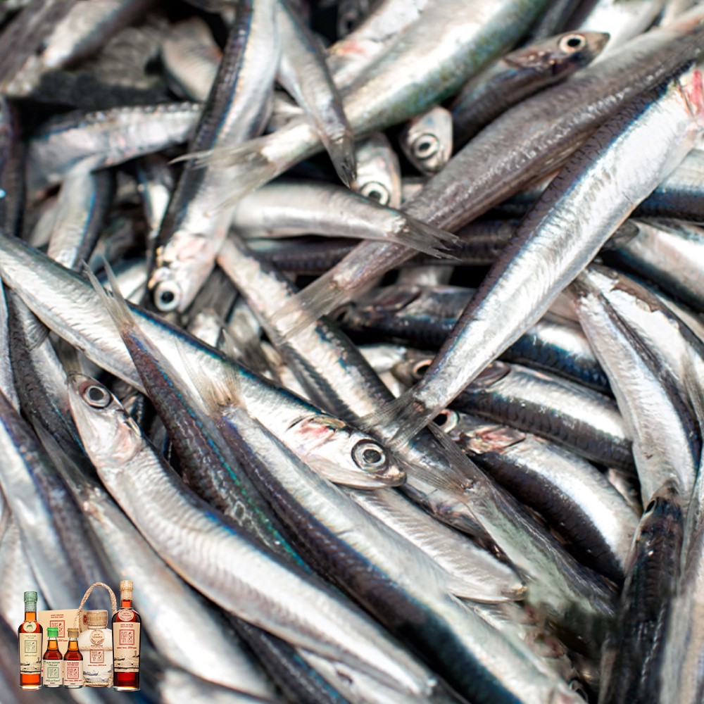 [ GIÁ TỐT ] Nước Mắm Nhỉ Làng Chài Xưa Xuất Khẩu Nhãn Xanh Chai Thủy Tinh 500ml Cốt Nhỉ Đặc Biệt Vị Dịu Nhẹ | BigBuy360 - bigbuy360.vn