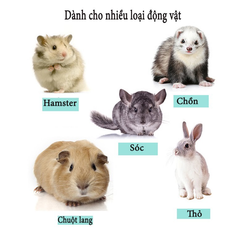 Sữa tắm khô cho hamster làm sạch giặt khô cho chuột lang,thỏ ,bọ ú KELLY -100ml