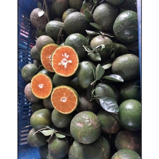 Combo 5Kg Cam Sành Size 5-6-7trái