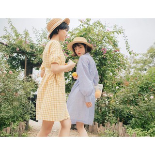 Váy kẻ caro Heidi Bleubird