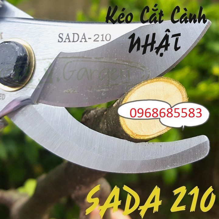 Kéo cắt tỉa cành cây SẮC vĩnh viễn HÀNg nhật tốt - KÉO SADA 210- GIÁ SẬP SÀN - KÉO SADA 210