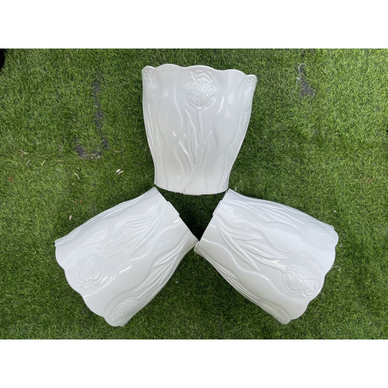 Chậu nhựa hoa Tuy lip siêu dày đk 25-29cm
