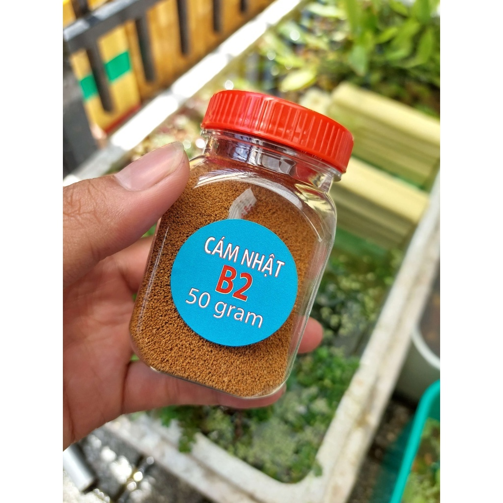 Cám Nhật B2, Cám Đạm Cao dành cho guppy