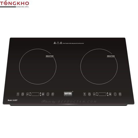 Bếp từ Giovani G-252T