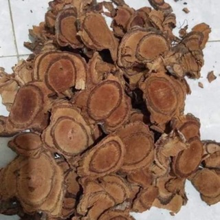 💕🍁cỏ máu🍃🍀